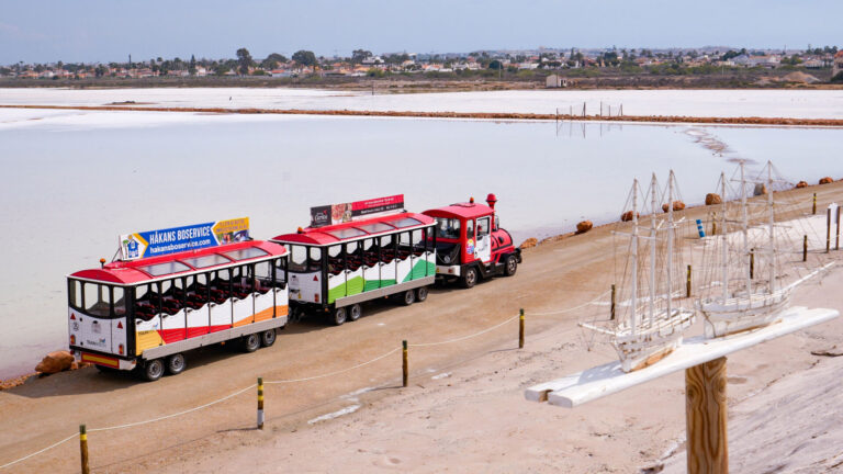 torrevieja- (15)