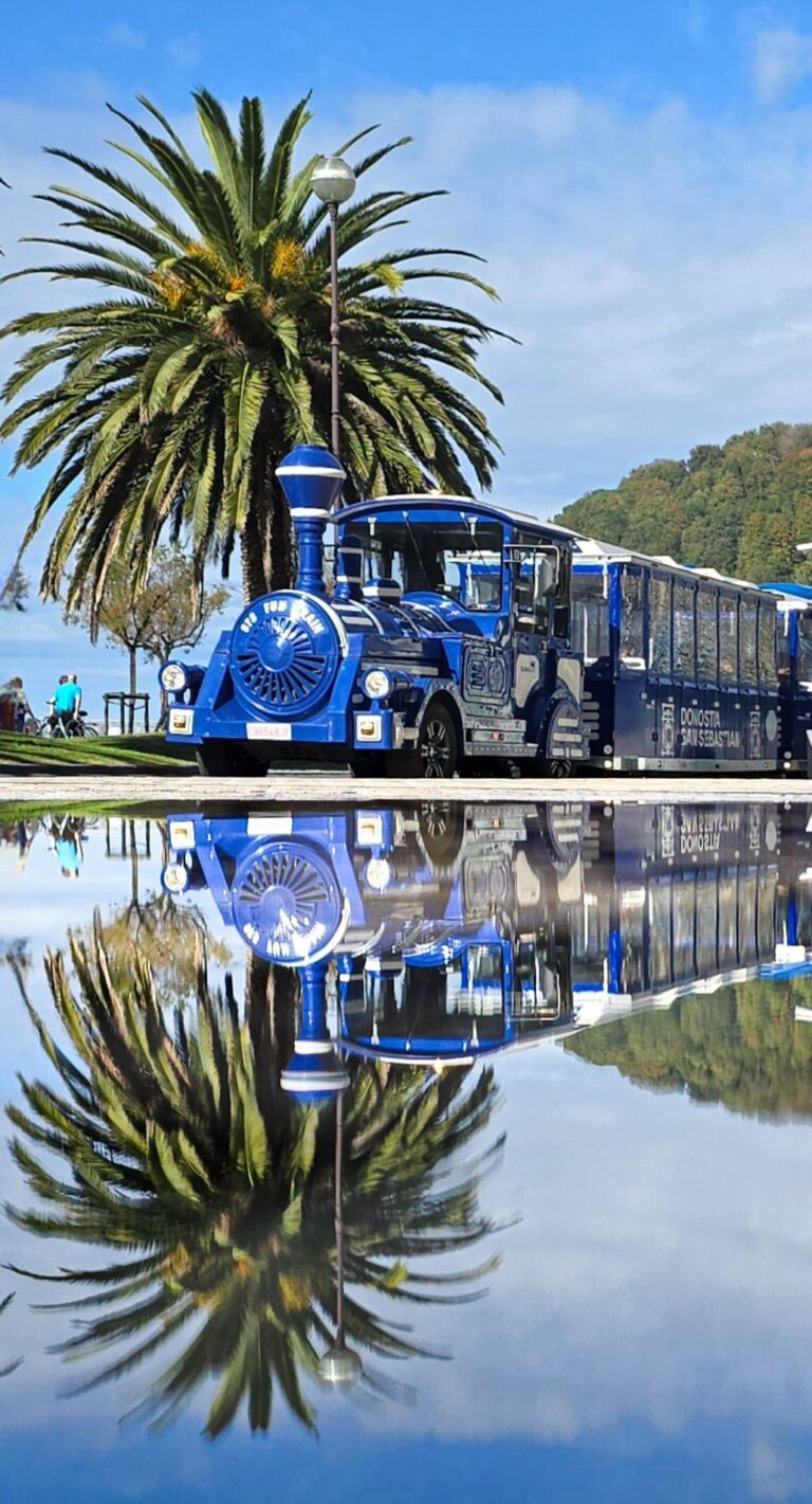 trainvision-sansebastian (1)