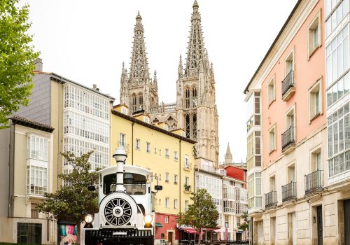 burgos (18)