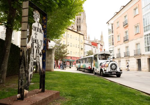 burgos (6)