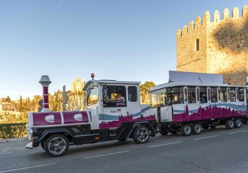 toledo (6)