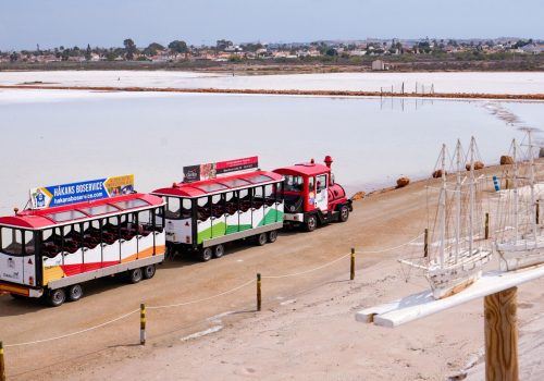 torrevieja- (15)