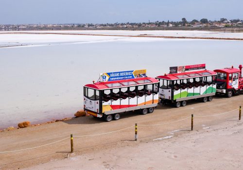 torrevieja- (17)