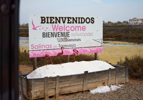 torrevieja- (29)