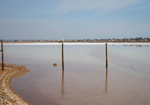 torrevieja- (36)