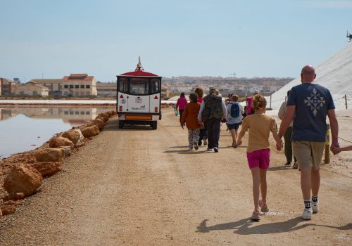 torrevieja- (37)