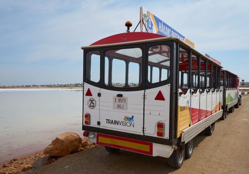 torrevieja- (38)