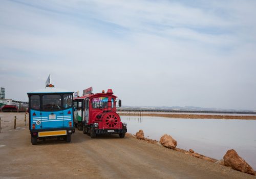 torrevieja- (42)