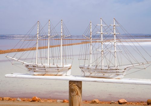 torrevieja- (6)