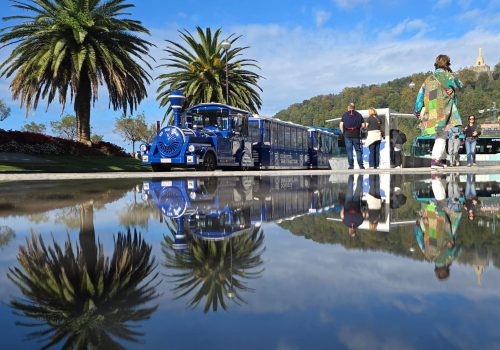 trainvision-sansebastian (2)