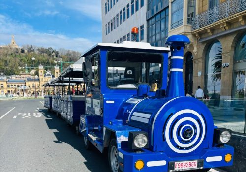 trainvision-sansebastian (4)
