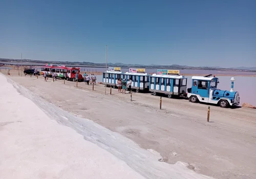 Tren-Torrevieja-foto-Salinas-1-optimized